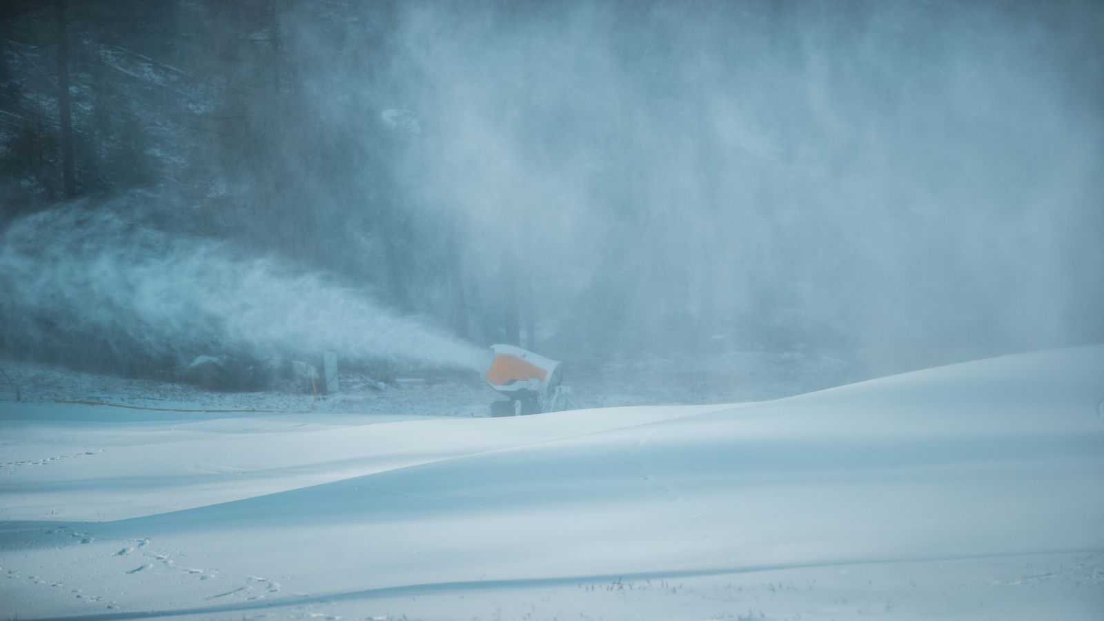 Reduced motion for rich experiences