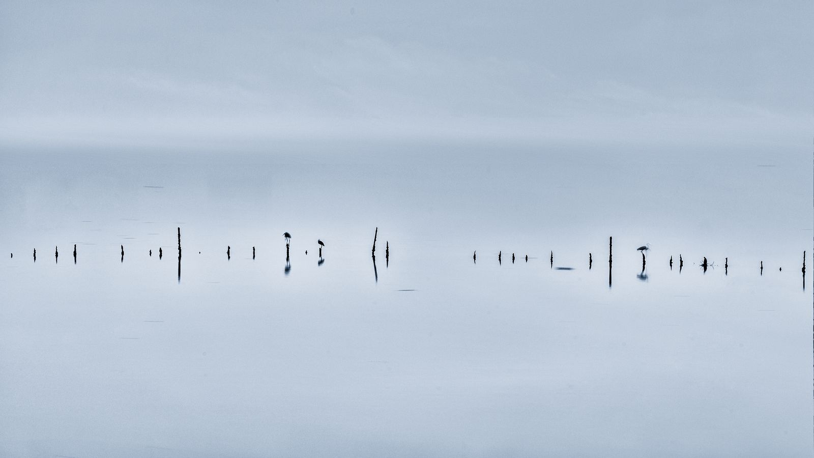 Frame budget basics for browser-native animation