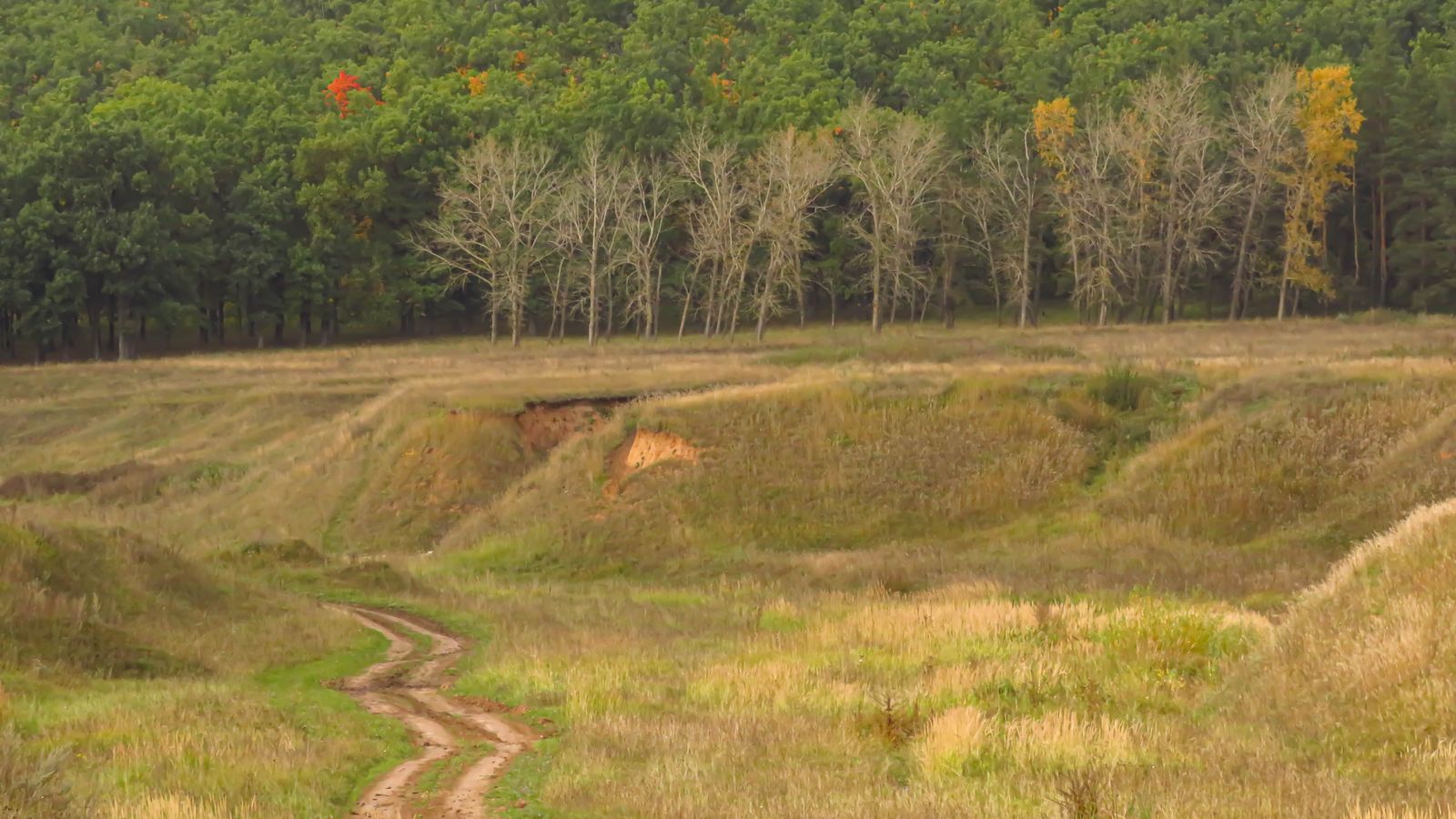 Scene breaks that feel natural in browser-native design